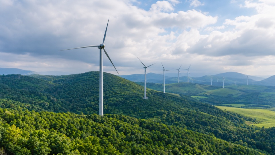 Windkraftanlagen in grüner Landschaft